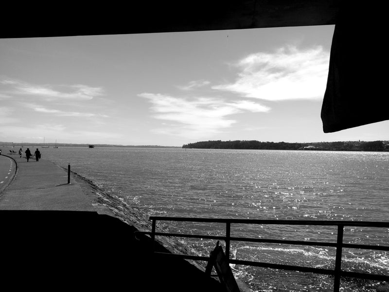 Mono filter